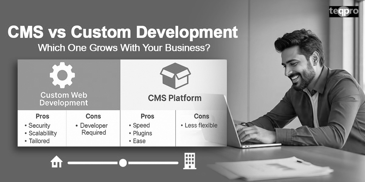 CMS vs Custom Development
